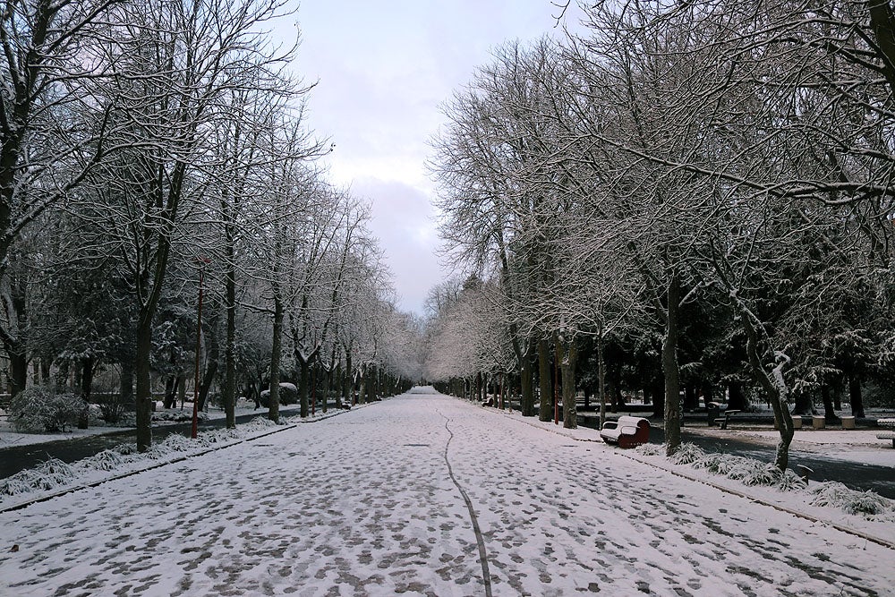 Fotos: La nieve llega a Burgos