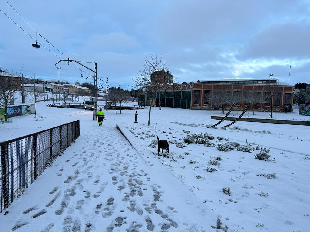 Fotos: La nieve llega a Burgos