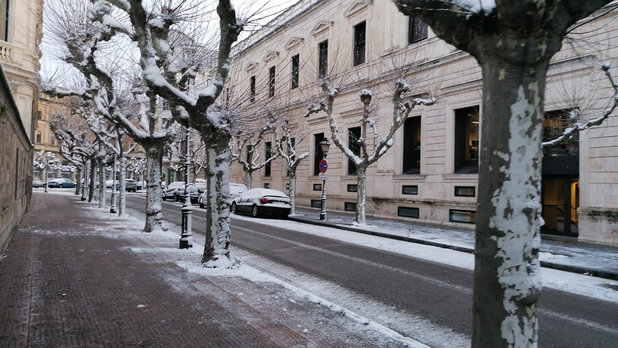 Fotos: La nieve llega a Burgos