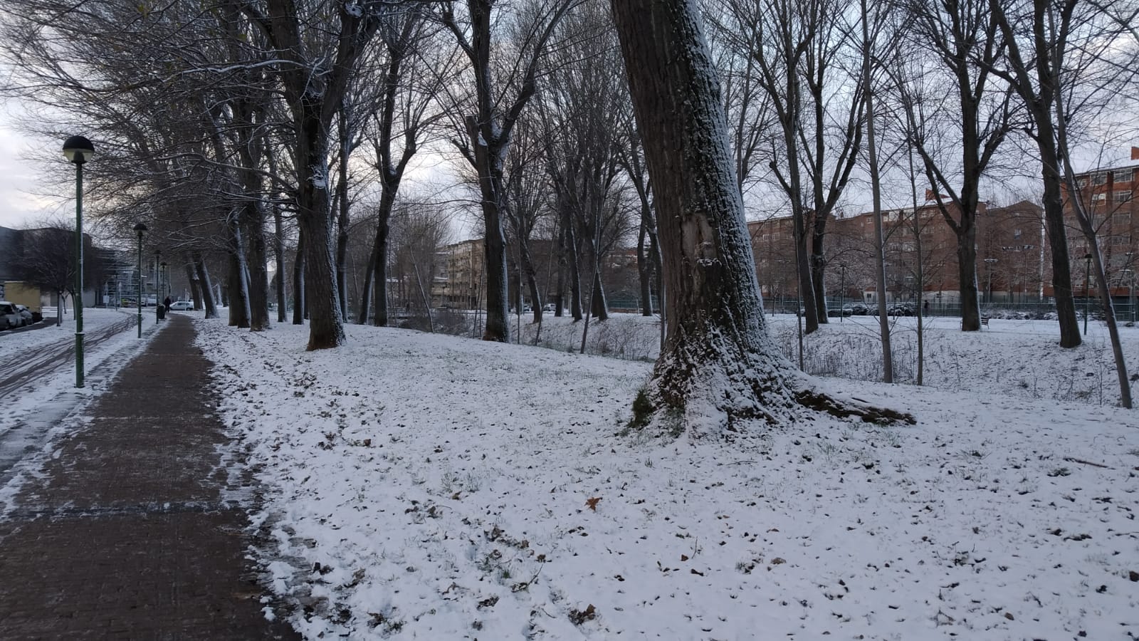 Fotos: La nieve llega a Burgos