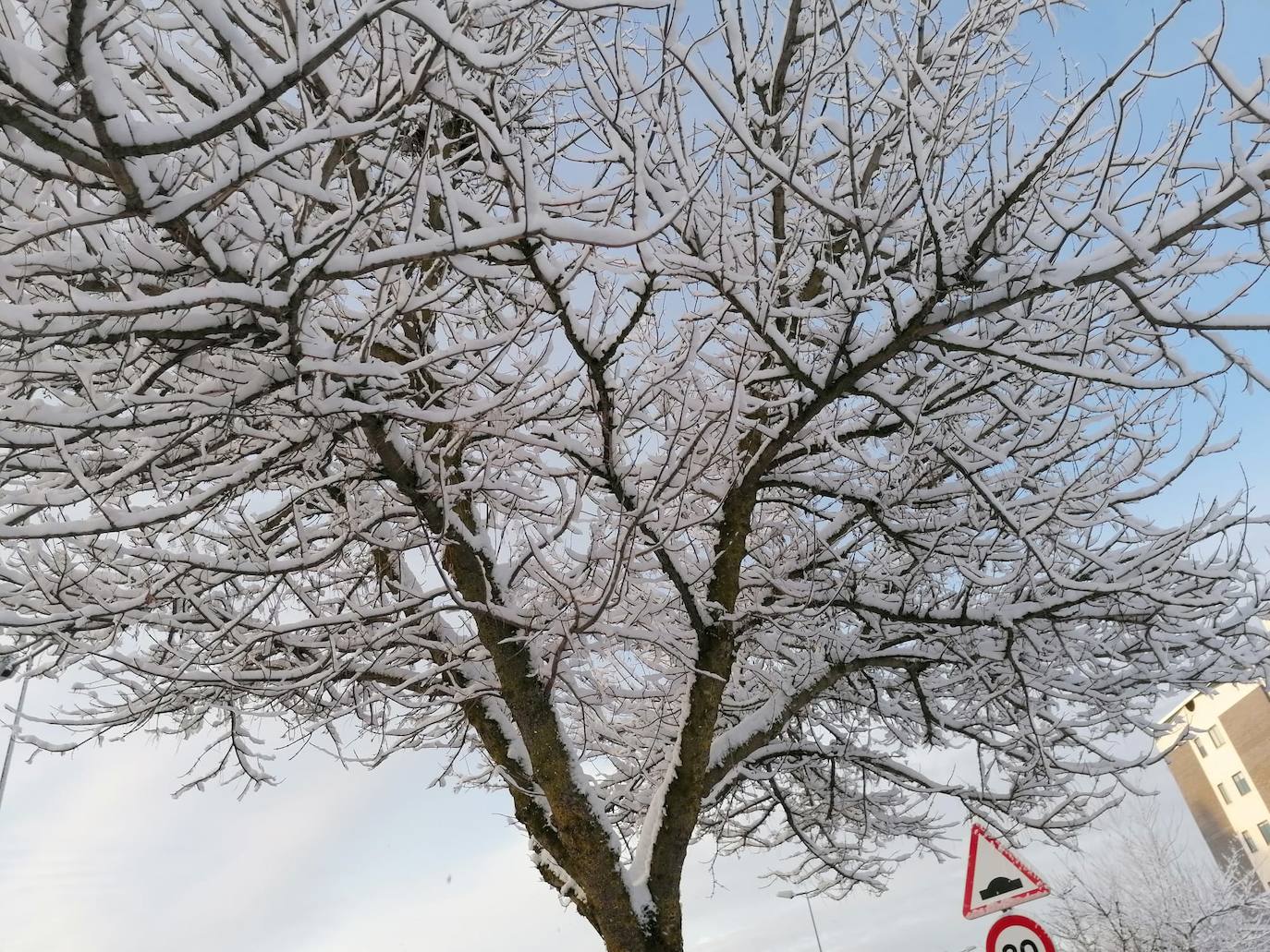 El hielo se ha convertido en un peligro en la mañana en Burgos. 