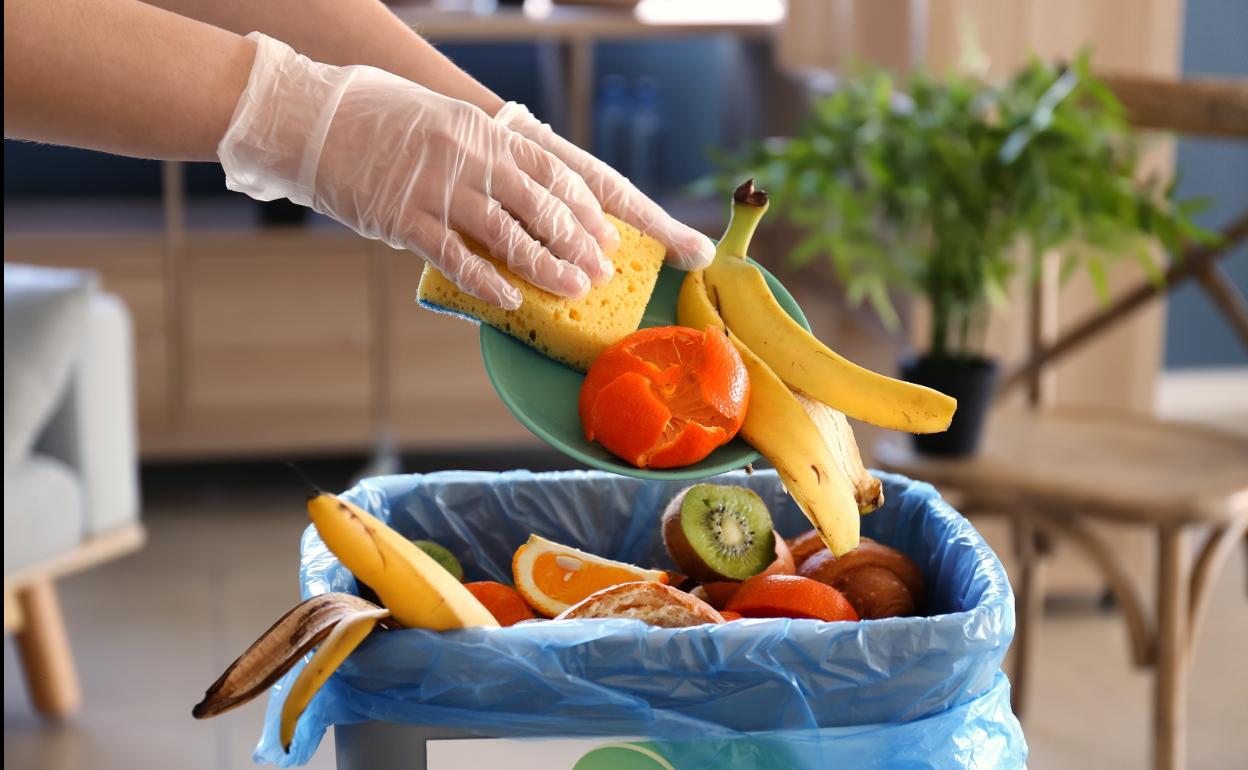 La materia orgánica deberá reciclarse de manera independiente.