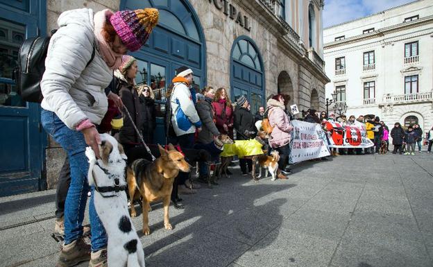 Burgos se suma a las protestas para reclamar la prohibición de la caza con galgos