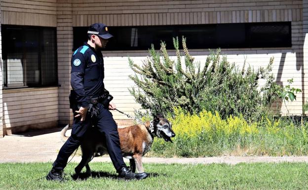 La Policía Local de Burgos forma a funcionarios para detectar droga en las prisiones