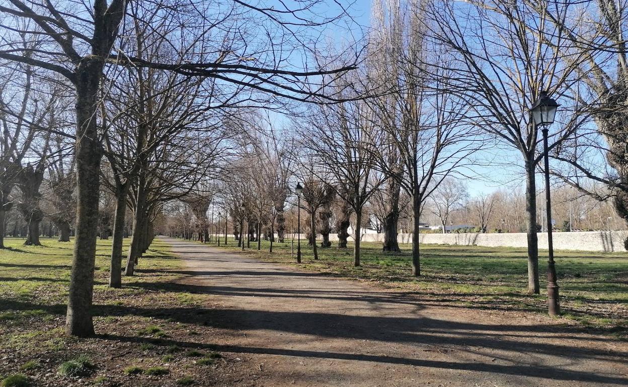 El Parque de El Parral sufrirá una remodelación importante.