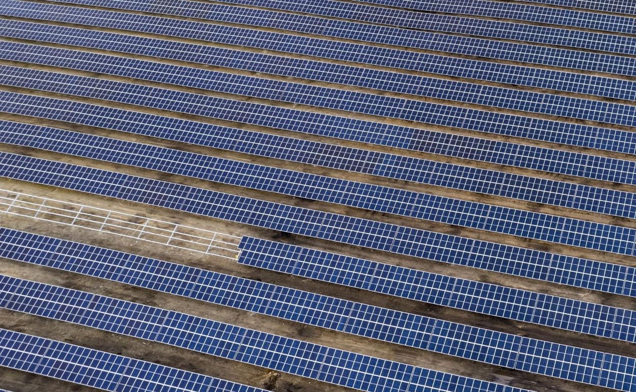 Se prevén instalar alrededor de 1,5 millones de paneles solares. 