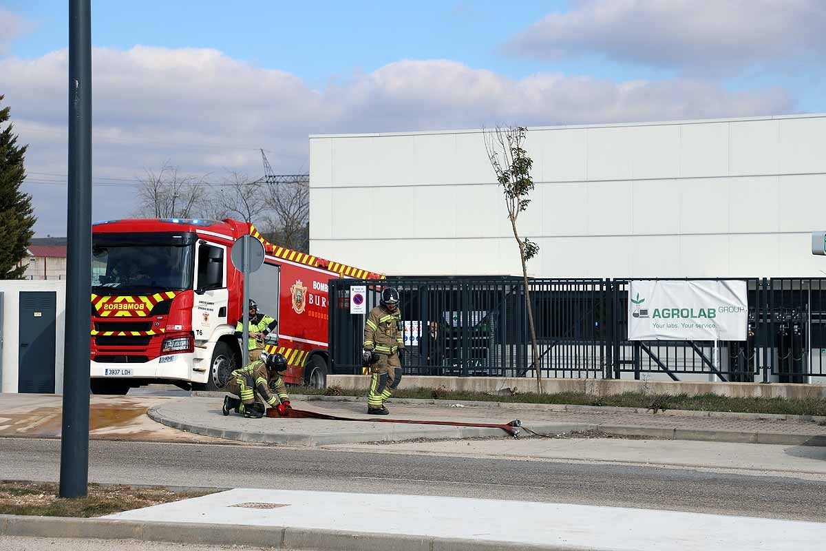 El fuego ha comenzado sobre las 15 horas y en menos de una hora ya no se apreciaba humo. 