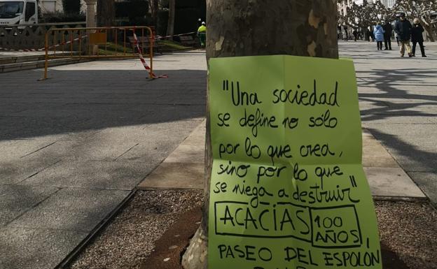 Imagen principal - Carteles de despedida de las acacias en el Espolón 