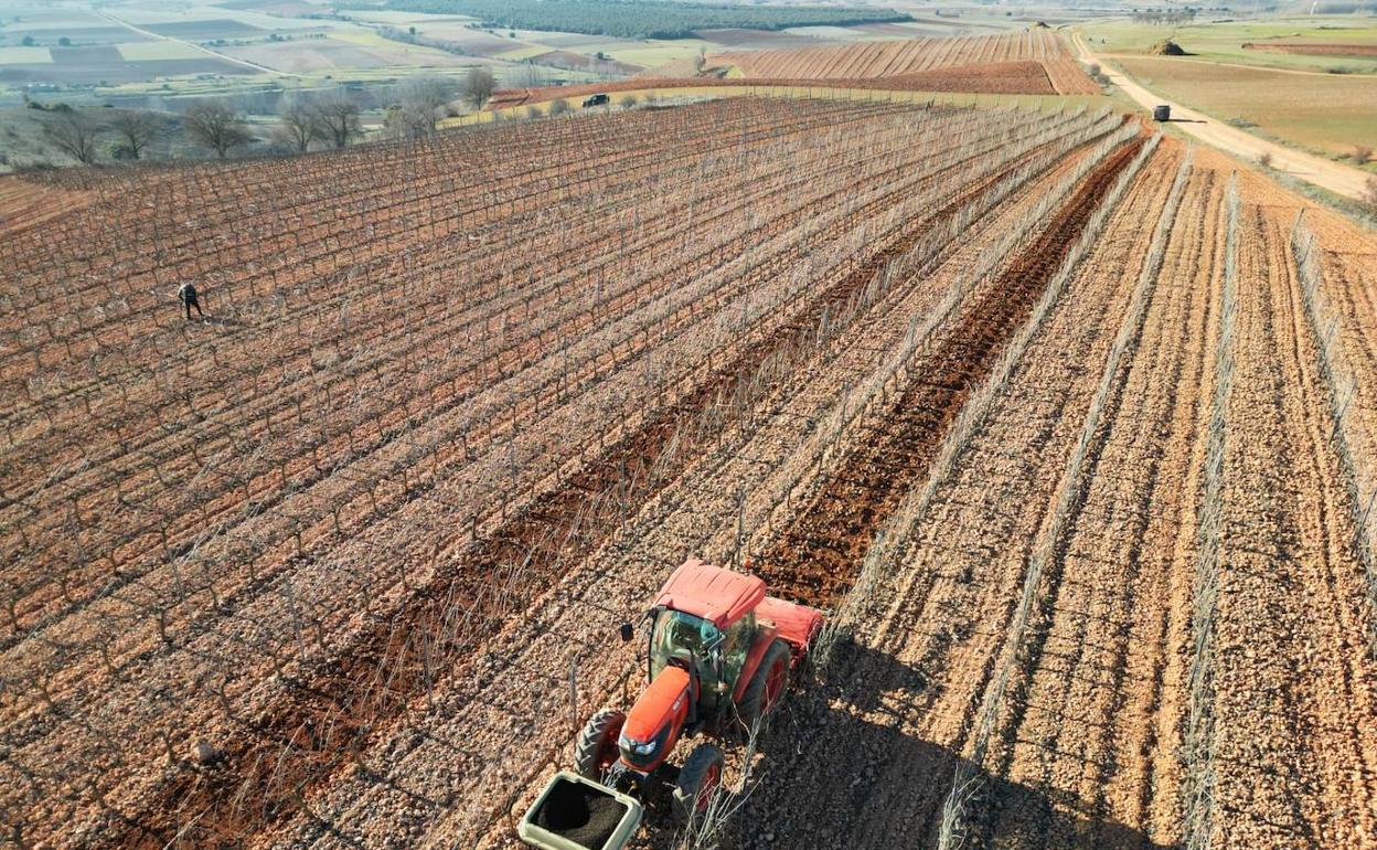 Ribera del Duero aumentó sus exportaciones.