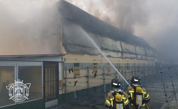 Imagen principal - Mueren decenas de perros en el incendio del Centro Canino de Rubena