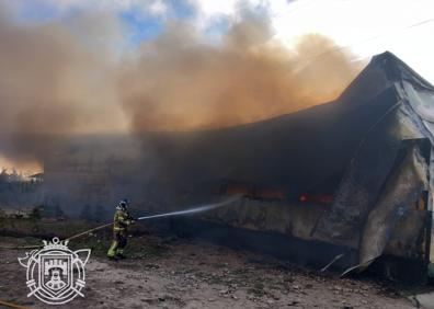 Imagen secundaria 1 - Mueren decenas de perros en el incendio del Centro Canino de Rubena