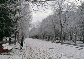 Nieve por las calles de Burgos, imagen de archivo