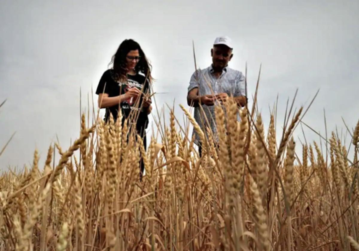 AgroBank impulsa el sector agroalimentario de Castilla y León con más de 1.850 millones en financiación en 2023