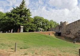 Castillo de Burgos.