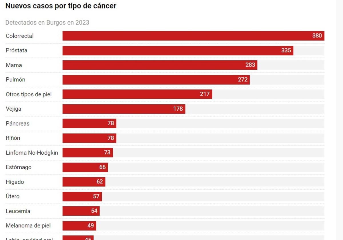 Gráfico sobre los tipos de cáncer más comunes en Burgos.