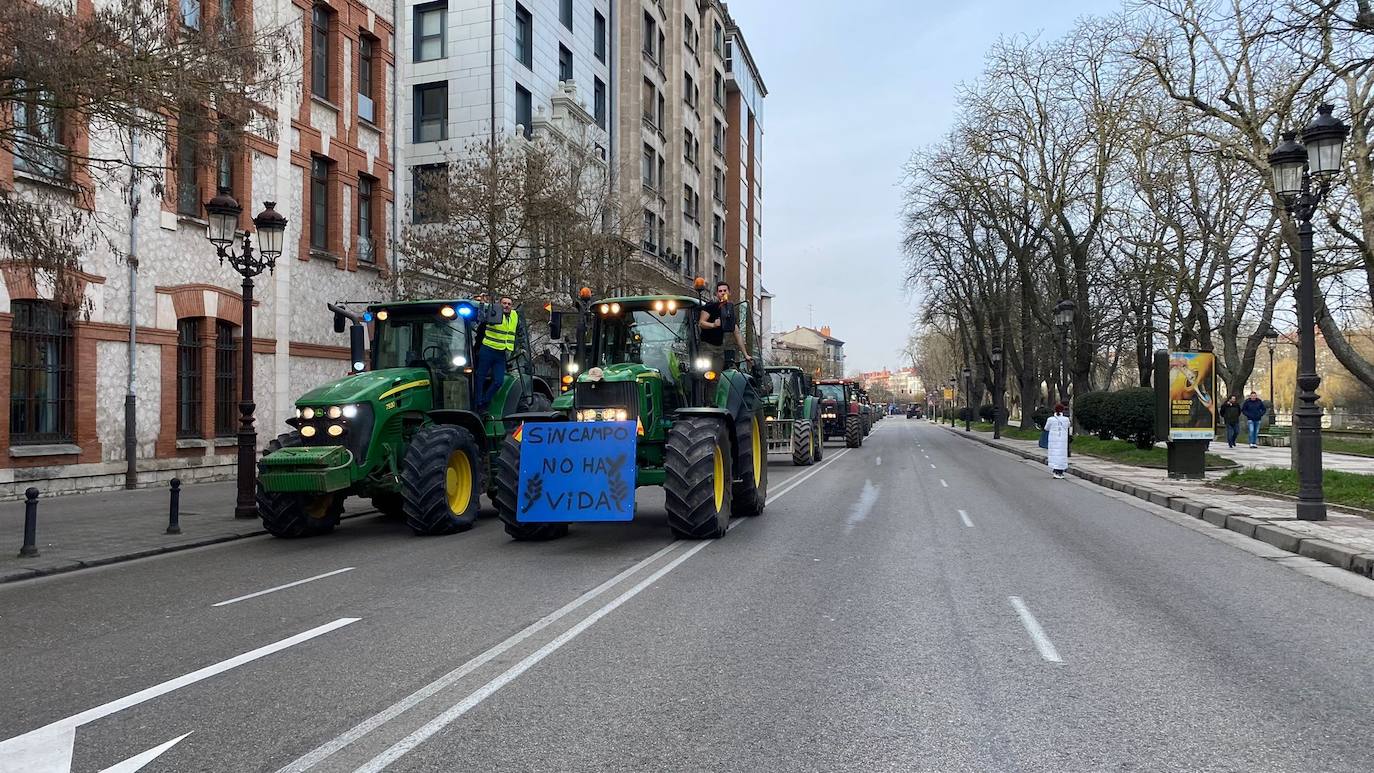 La tractorada en Burgos capital, en imágenes