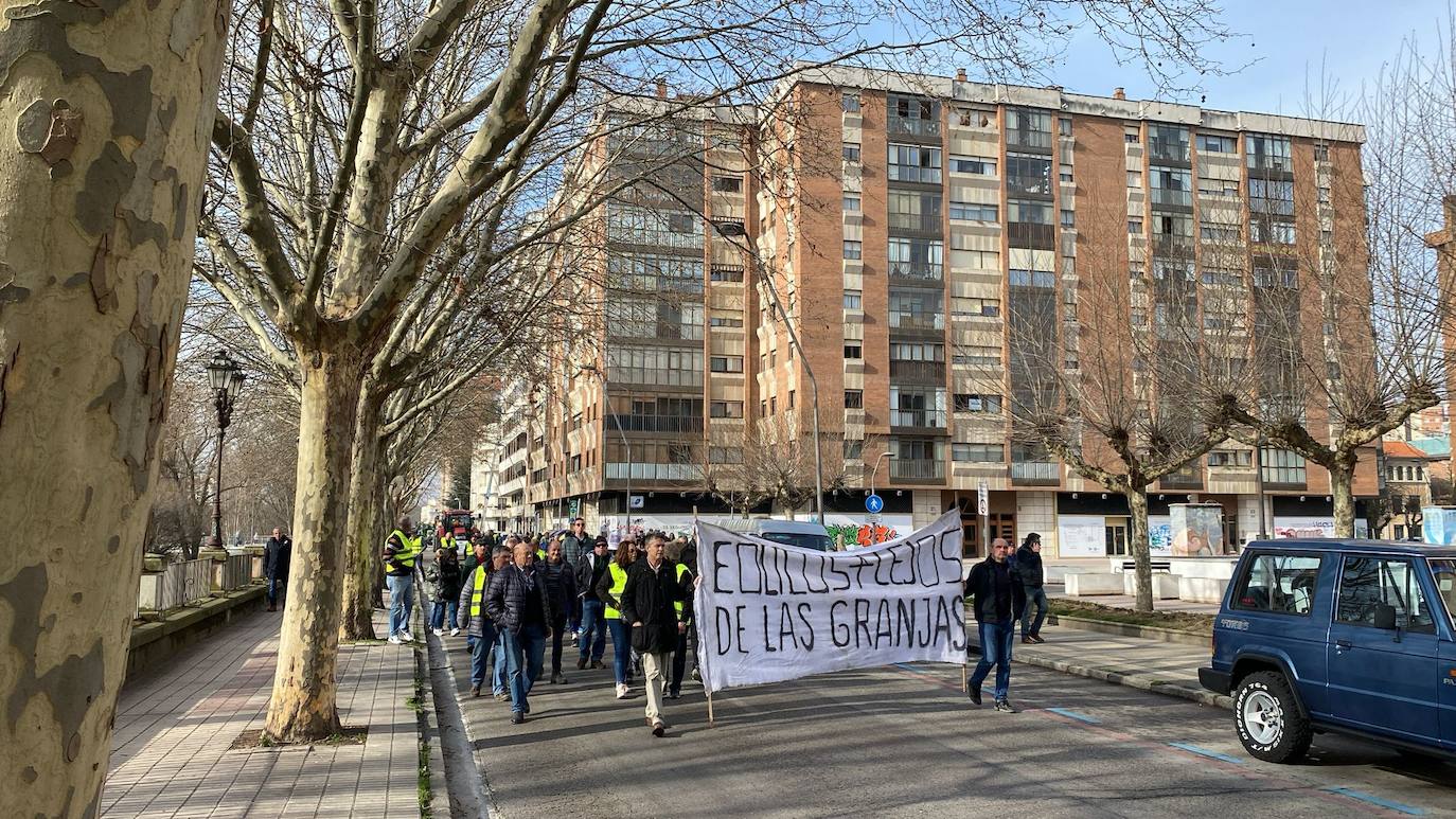 La tractorada en Burgos capital, en imágenes