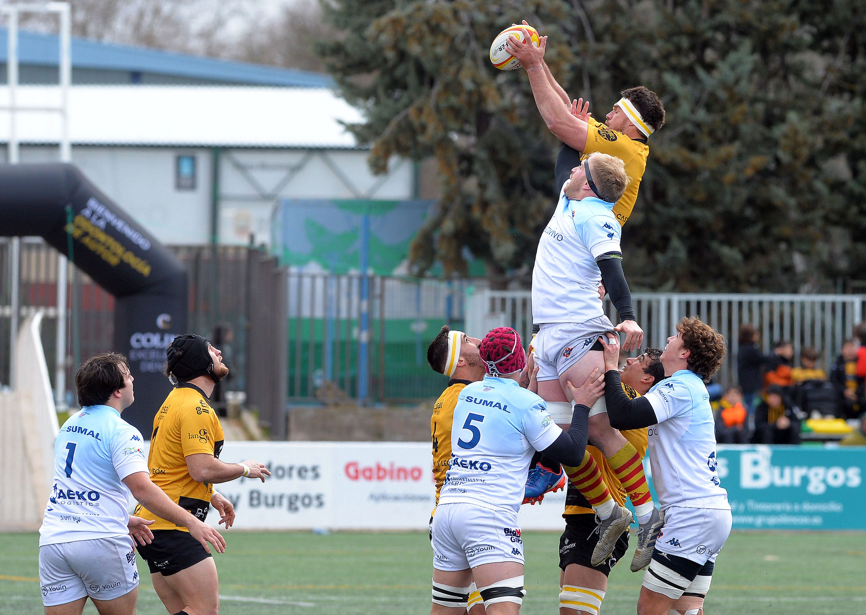 Así ha sido la clasificación del Recoletas Burgos para la final de Copa de Rugby