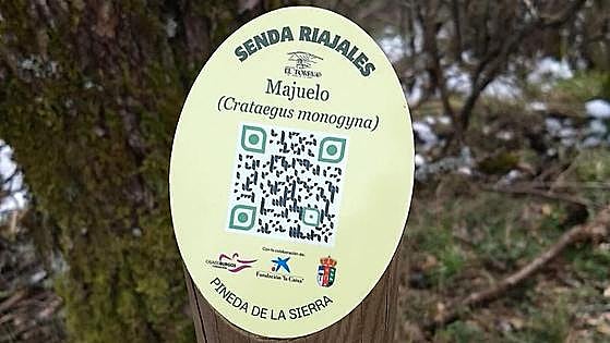 Desaparecen y vandalizan las señales de una ruta en Pineda de la Sierra