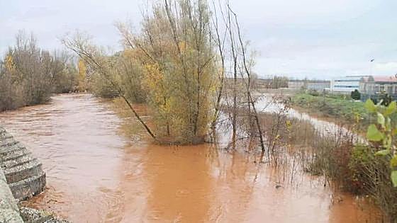 Activan la alerta amarilla por crecidas en el río Arlanza