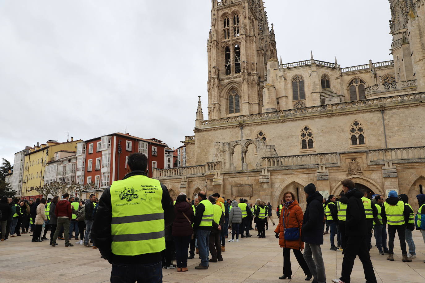 La concentración del sector primario en Burgos, en imágenes