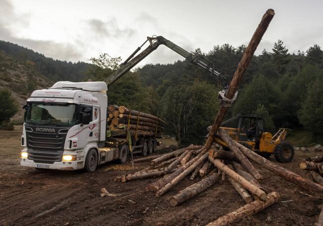 Trabajadores del sector forestal en Burgos.