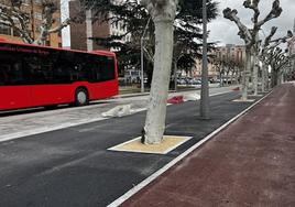 Obras de la calle Vitoria.