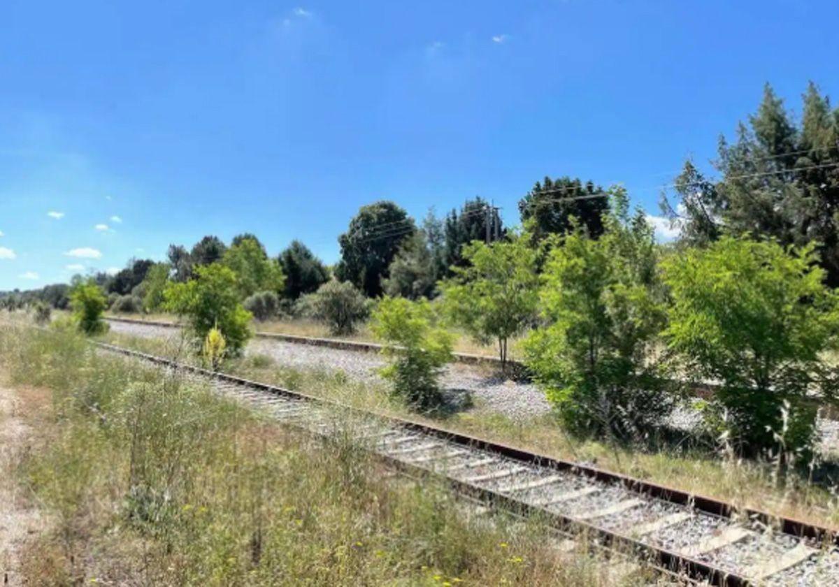 Puente ve difícil reabrir el Tren Directo y asegura que las cosas «no pintan bien»