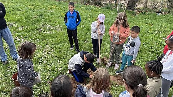 Árboles en colegios, el proyecto del Geoparque Las Loras para promover la conexión con el entorno