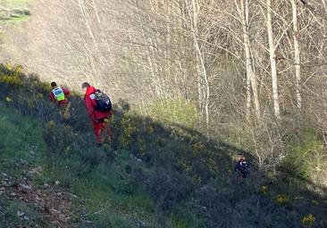 El Grem vuelve a la búsqueda de la mujer desaparecida en Pinilla de los Moros