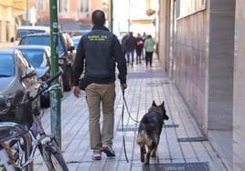 Operación de la Guardia Civil en Burgos.