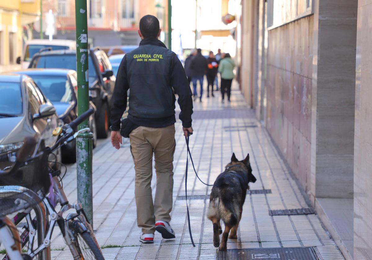 La operación de la Guardia Civil en un piso de Burgos en imágenes