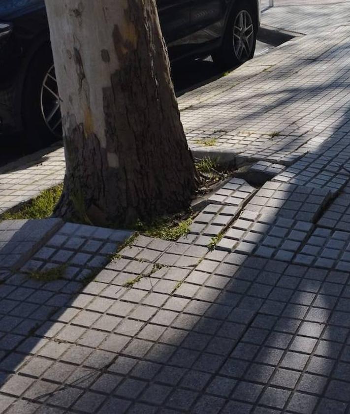 Imagen secundaria 2 - Algunas zonas de Burgos con el pavimento en mal estado.