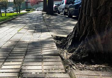 El Ayuntamiento paga 68.000 euros en indemnizaciones en seis meses