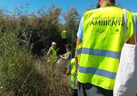 Voluntarios ambientales.