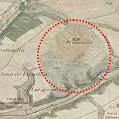 Vuelven a ofrecer un viñedo en la Ribera del Duero para explotarlo durante 20 años