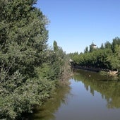 Estudian realizar cruceros en el Duero entre Soria y Burgos