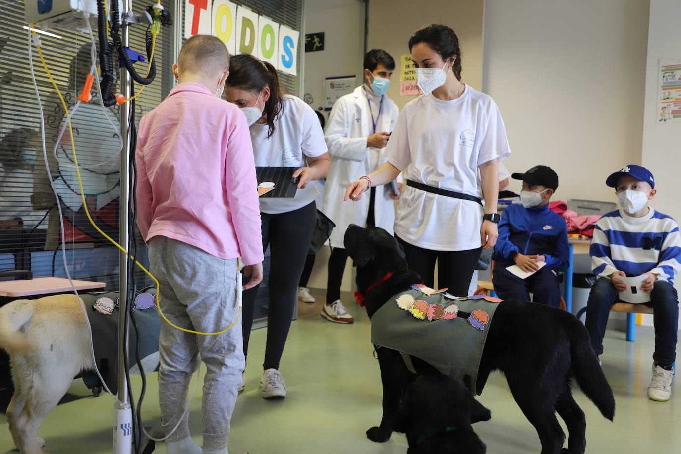 La terapia con perros para los niños hospitalizados en Burgos, en imágenes