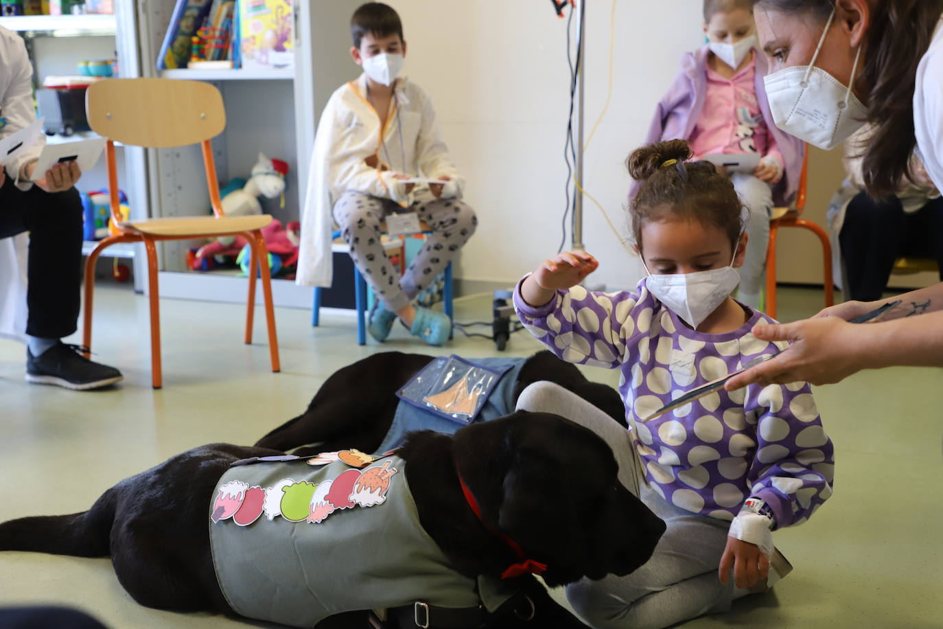 La terapia con perros para los niños hospitalizados en Burgos, en imágenes