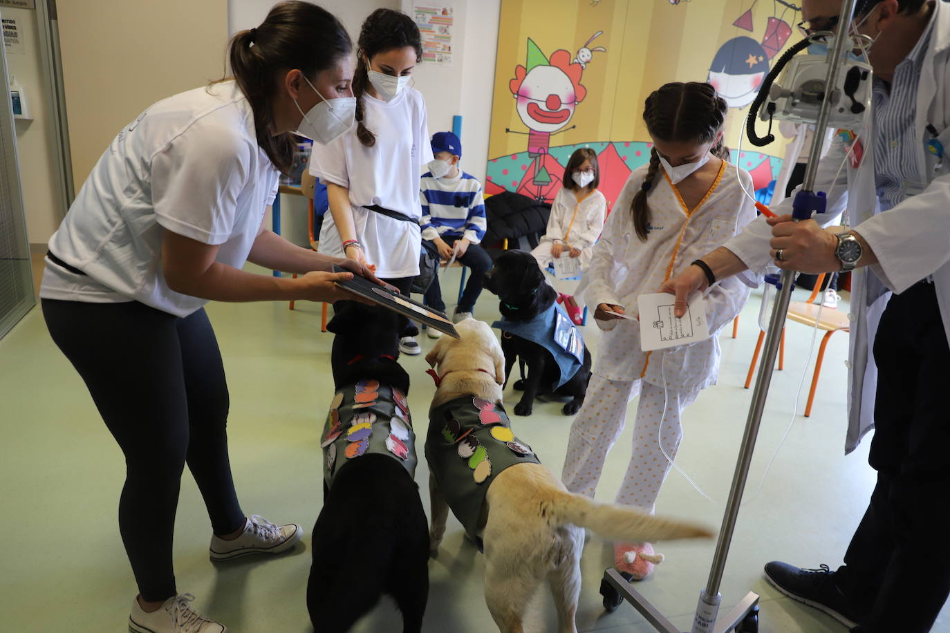 La terapia con perros para los niños hospitalizados en Burgos, en imágenes