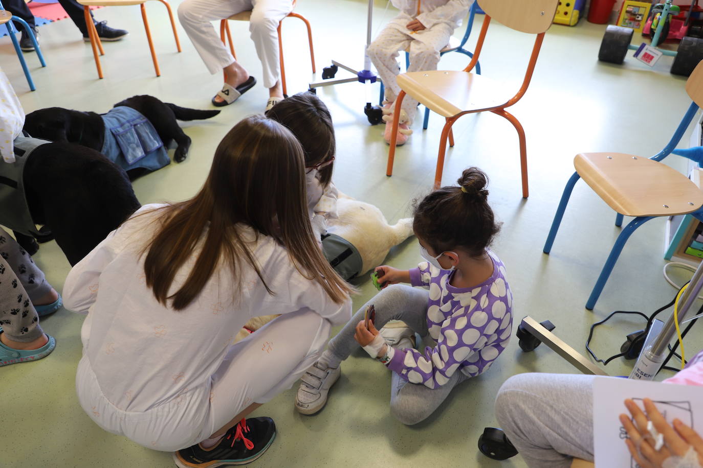 La terapia con perros para los niños hospitalizados en Burgos, en imágenes