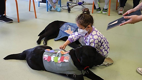 Terapia con perros para los niños del HUBU, un proyecto pionero que busca financiación
