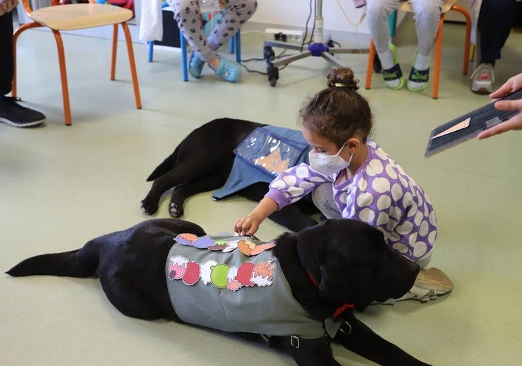 Una niña juega con Uva y Java, dos de los perros que acuden al HUBU.