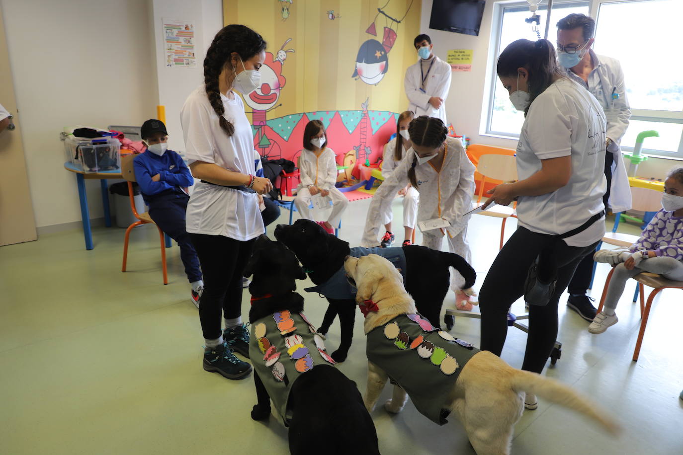 La terapia con perros para los niños hospitalizados en Burgos, en imágenes