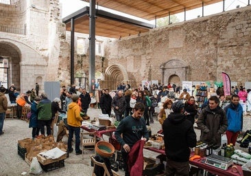 Regresa a Burgos la Feria de la Tierra por una ciudad más sostenible y ecológica