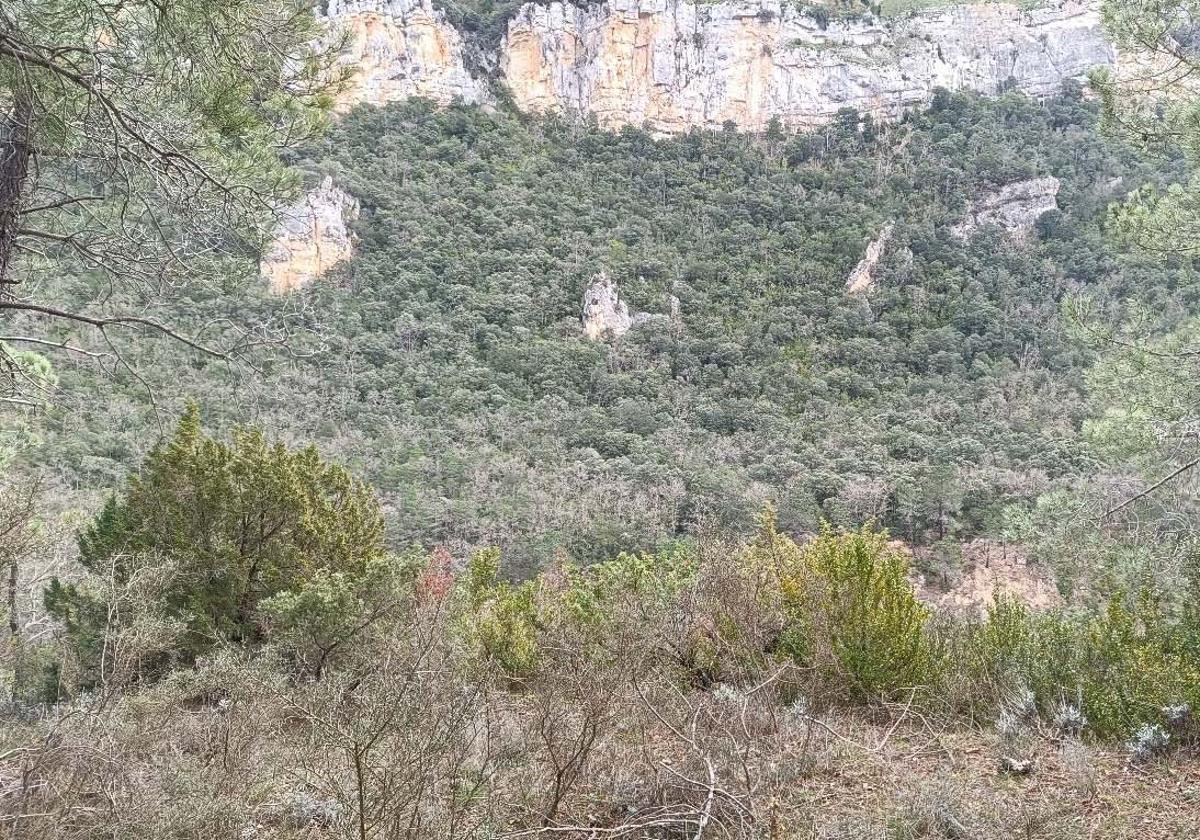 Emplazamiento del observatorio de Tartalés de Cilla.