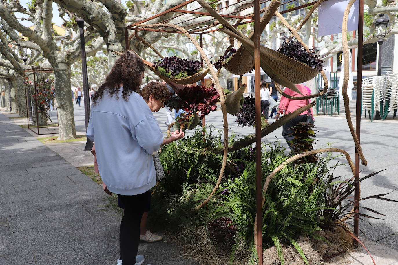 La Fiesta de las Flores de Burgos, en imágenes
