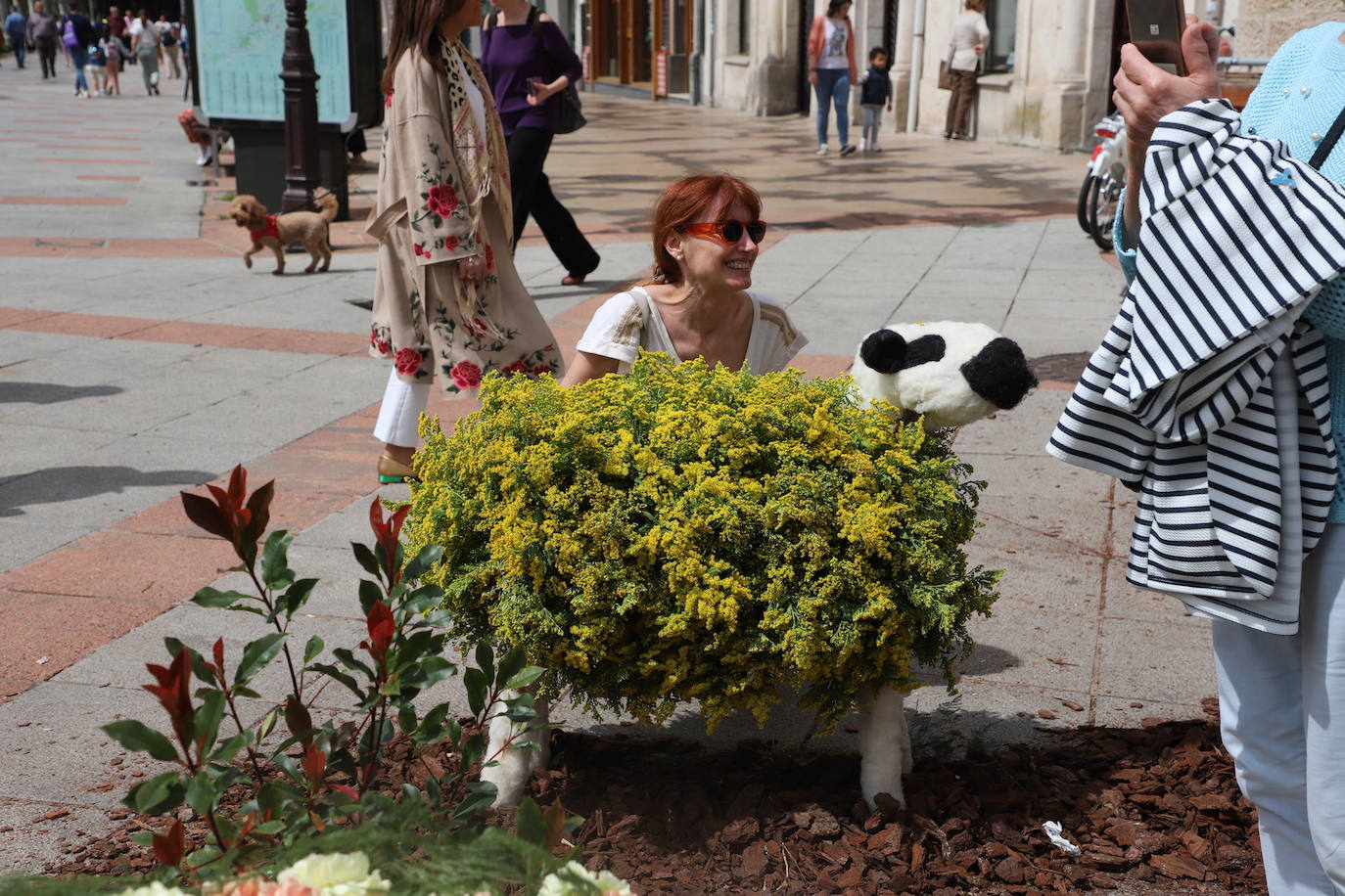 La Fiesta de las Flores de Burgos, en imágenes