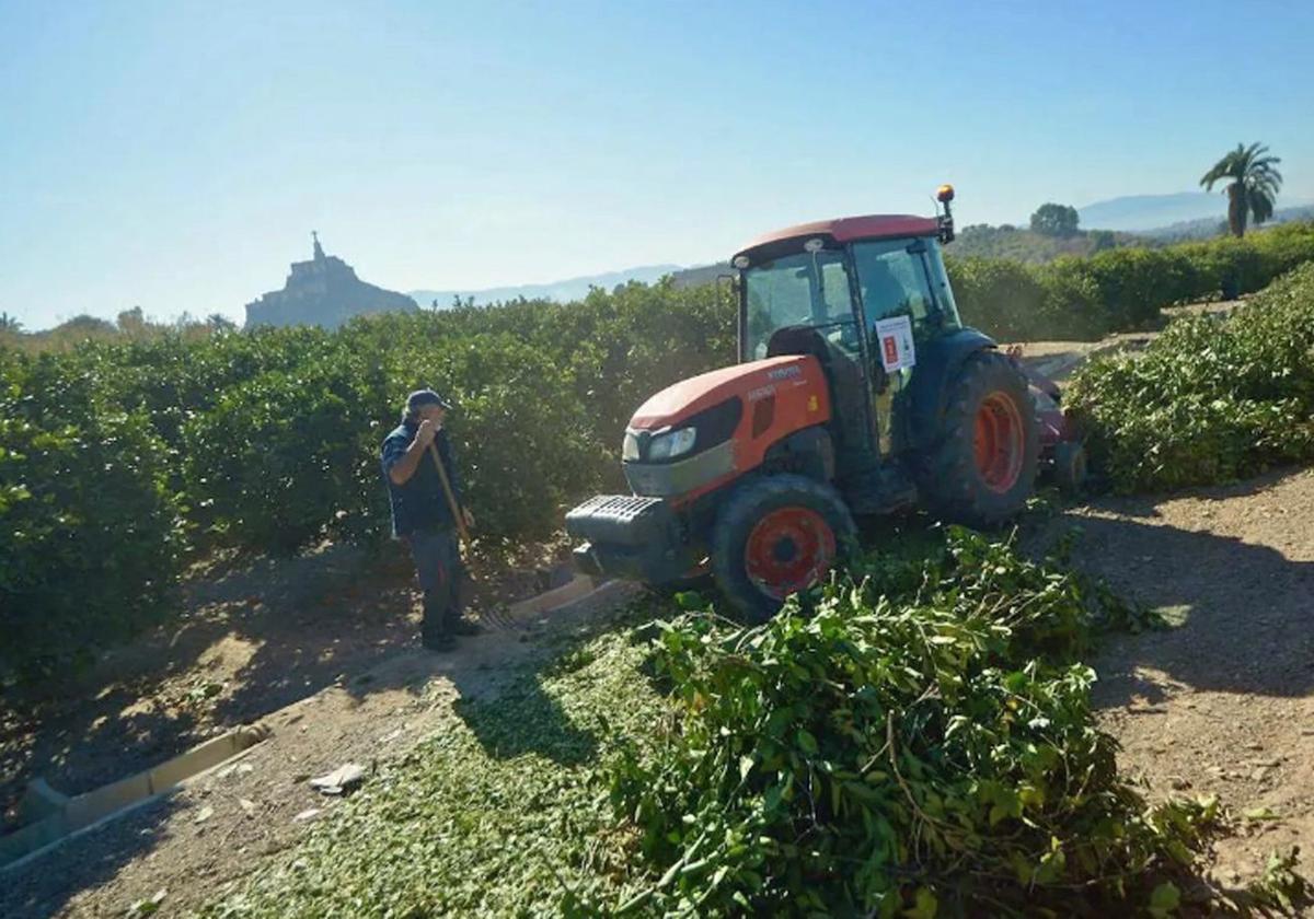 Un agricultor tritura las podas de su huerto.