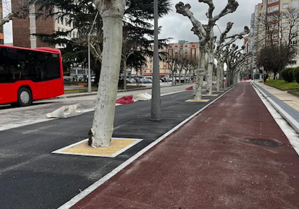 Obras del carril bici en la calle Vitoria.